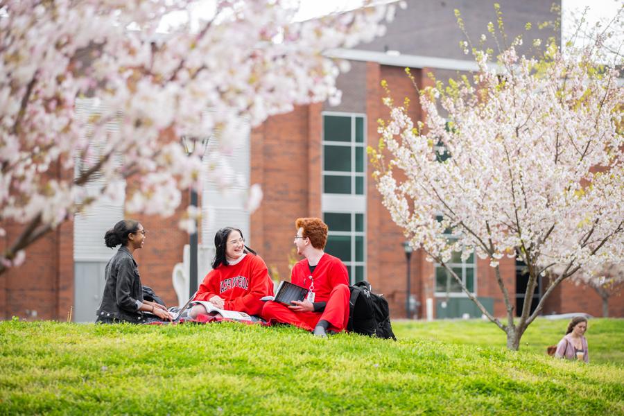 Students sitting together on the lawn